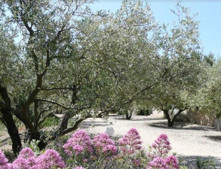 Un Gite En Provence - Les Jardins De Fontanille Saint-Remy-de-Provence Exterior photo